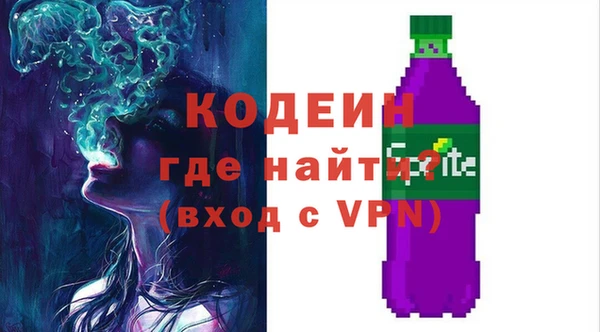 ECSTASY Богородицк